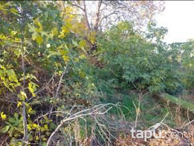 İzmir Selçuk Şirince Mahallesi'nde 261 m2 Arsa