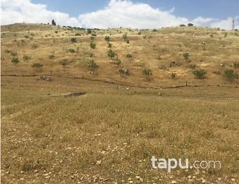 Siirt Kurtalan Yayıkdere Mahallesi'nde 724 m2 Konut İmarlı Arsa
