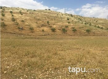 Siirt Kurtalan Yayıkdere Mahallesi'nde 724 m2 Konut İmarlı Arsa