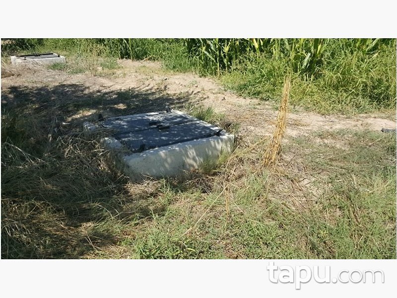 Afyonkarahisar Basmakçı Merkez Basmakçı Mahallesi'nde 16300m2 Tarla