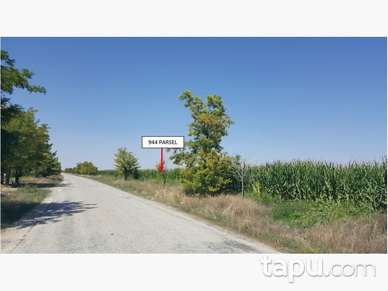 Afyonkarahisar Basmakçı Merkez Basmakçı Mahallesi'nde 16300m2 Tarla