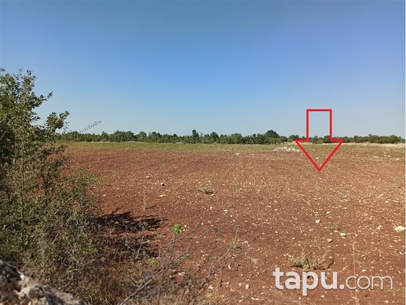 Manisa Kula Encekler Mahallesi'nde 17600m2 Tarla