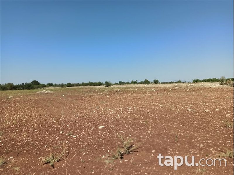 Manisa Kula Encekler Mahallesi'nde 17600m2 Tarla