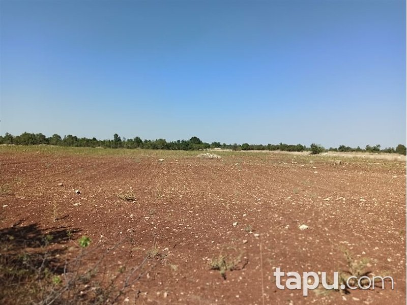 Manisa Kula Encekler Mahallesi'nde 17600m2 Tarla