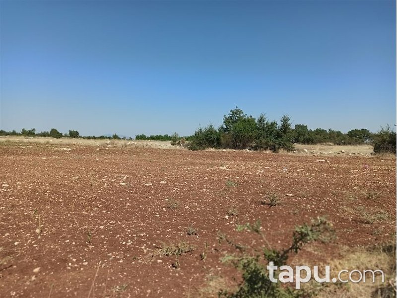 Manisa Kula Encekler Mahallesi'nde 17600m2 Tarla