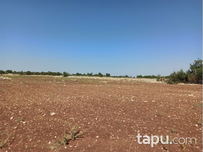 Manisa Kula Encekler Mahallesi'nde 17600m2 Tarla