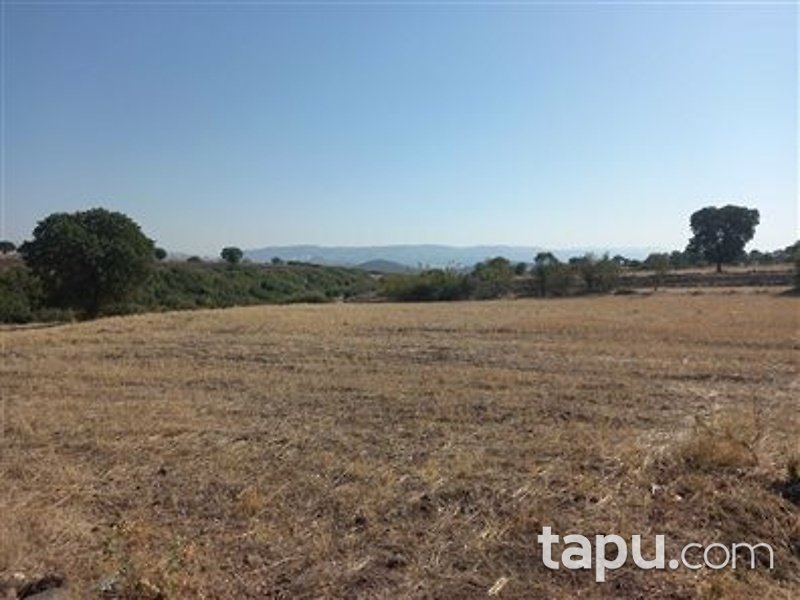 Manisa Kula İbrahimağa Mahallesi'nde 6 Dönüm Tarla