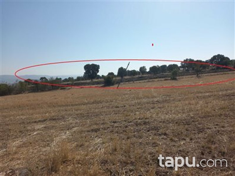 Manisa Kula İbrahimağa Mahallesi'nde 6 Dönüm Tarla