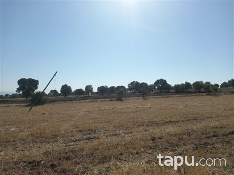 Manisa Kula İbrahimağa Mahallesi'nde 6 Dönüm Tarla