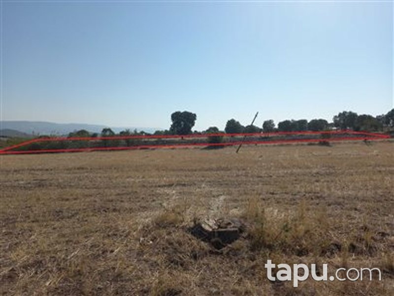 Manisa Kula İbrahimağa Mahallesi'nde 6 Dönüm Tarla