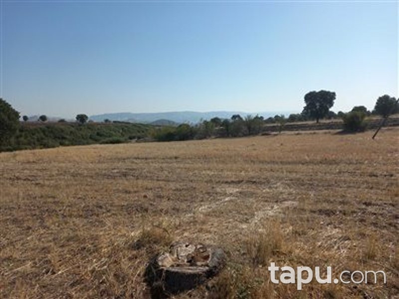 Manisa Kula İbrahimağa Mahallesi'nde 6 Dönüm Tarla