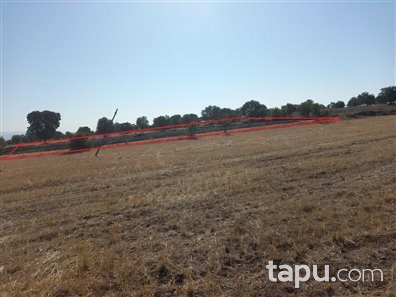 Manisa Kula İbrahimağa Mahallesi'nde 6 Dönüm Tarla