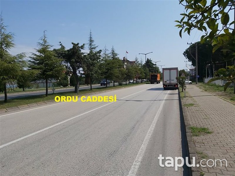 Ordu Gülyalı Yeniköy Mahallesi'nde 552m2 Konut İmarlı Arsa