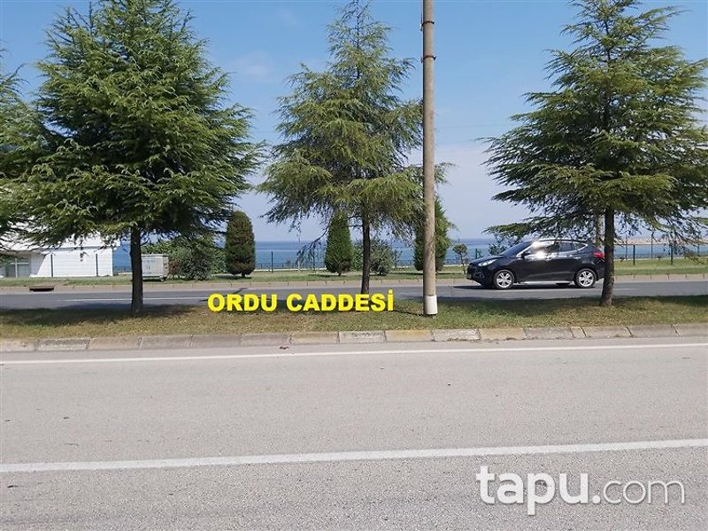Ordu Gülyalı Yeniköy Mahallesi'nde 552m2 Konut İmarlı Arsa