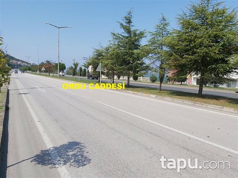 Ordu Gülyalı Yeniköy Mahallesi'nde 552m2 Konut İmarlı Arsa