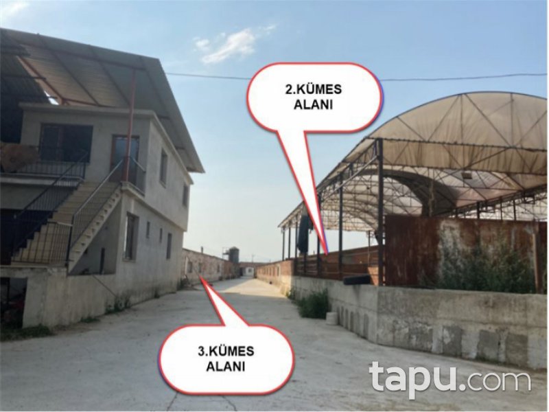 İzmir Ödemiş Ertuğrul Mahallesi'nde 8247 m2 Tavuk Çiftliği ve Arsası