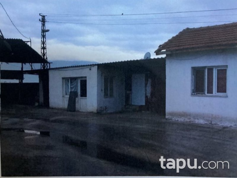 İzmir Ödemiş Ertuğrul Mahallesi'nde 8247 m2 Tavuk Çiftliği ve Arsası