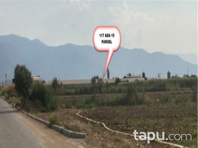 İzmir Ödemiş Ertuğrul Mahallesi'nde 8247 m2 Tavuk Çiftliği ve Arsası