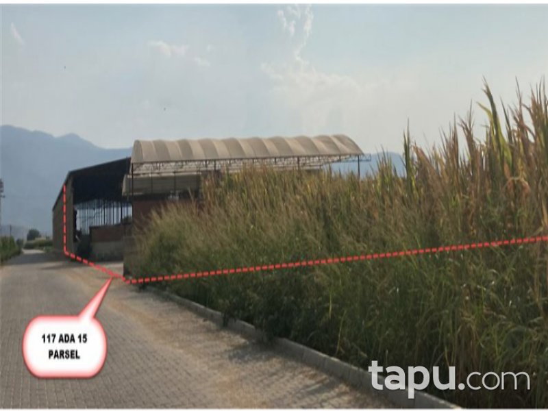 İzmir Ödemiş Ertuğrul Mahallesi'nde 8247 m2 Tavuk Çiftliği ve Arsası