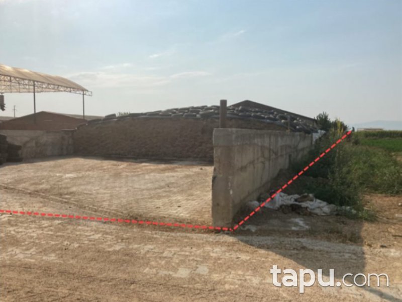 İzmir Ödemiş Ertuğrul Mahallesi'nde 8247 m2 Tavuk Çiftliği ve Arsası