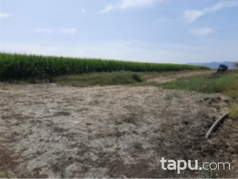 Balıkesir Gönen Gökçesuosmanpazar Mahallesi'nde 3233 m2 Hisseli Tarla