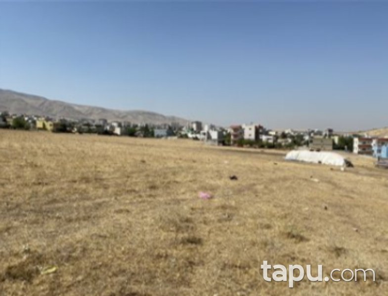 Siirt Kurtalan Yayıkdere Mahallesi'nde 1600 m2 Konut İmarlı Arsa