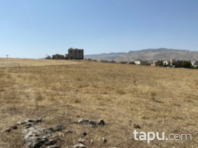 Siirt Kurtalan Yayıkdere Mahallesi'nde 1600 m2 Konut İmarlı Arsa