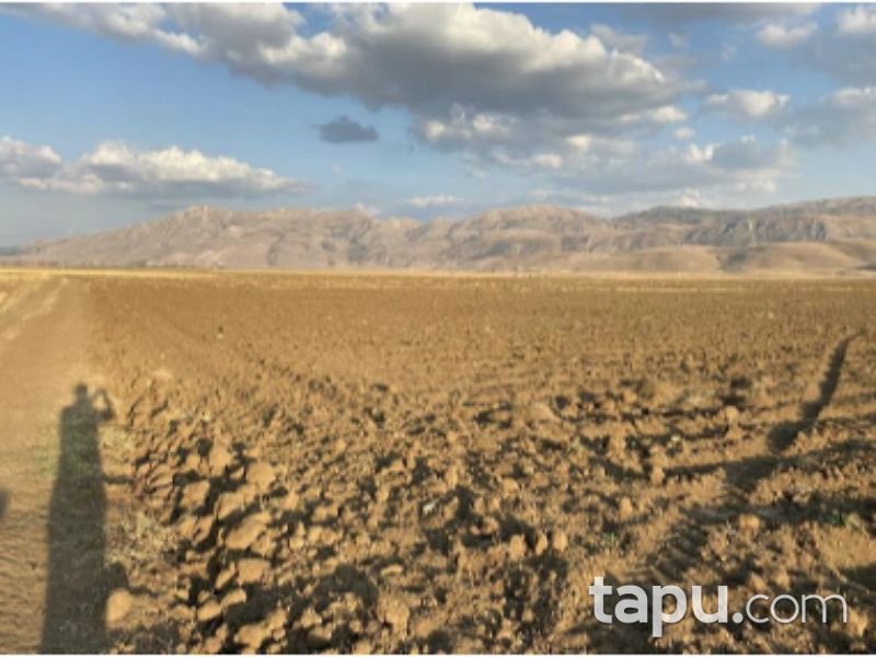 Afyonkarahisar Dinar Çürüklü Mahallesi'nde 14650 m2 Tarla