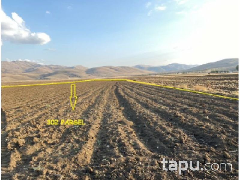 Afyonkarahisar Dinar Çürüklü Mahallesi'nde 14650 m2 Tarla