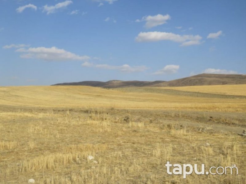 Sivas Altınyayla Şafak Mahallesi'nde 65036 m2 Tarla