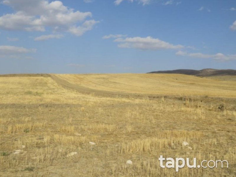 Sivas Altınyayla Şafak Mahallesi'nde 65036 m2 Tarla
