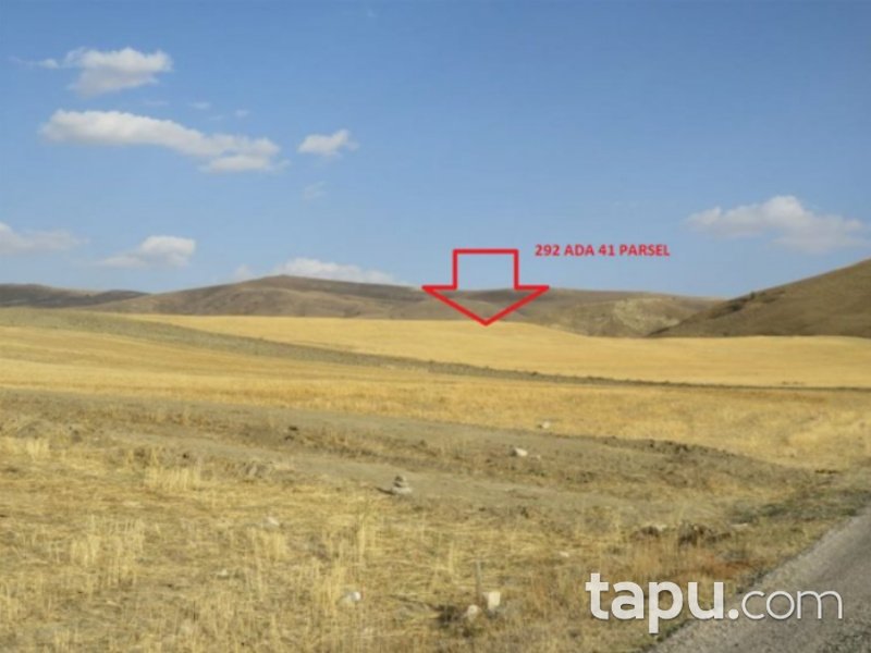 Sivas Altınyayla Şafak Mahallesi'nde 65036 m2 Tarla