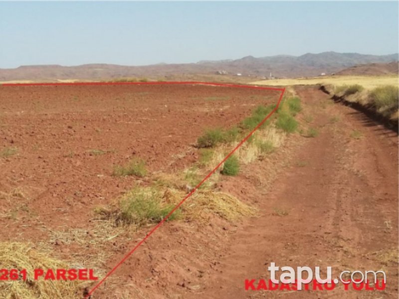 Yozgat Yerköy Yukarıihsangazili Mahallesi'nde 25800 m2 Tarla