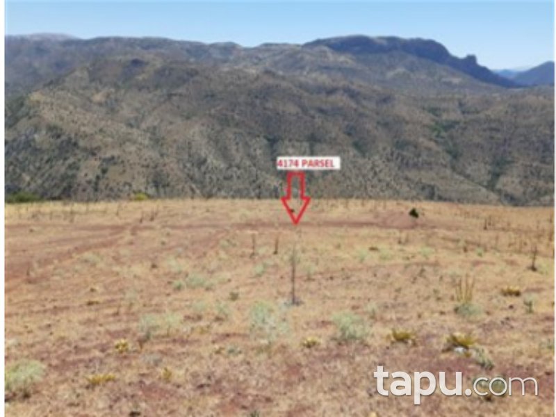 Karaman Merkez Damlapınar Mahallesi'nde 5300 m2 Bağ