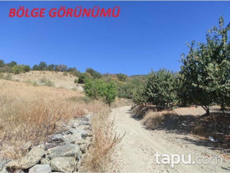 Tokat Merkez Kemalpaşa Mahallesi'nde 4373 m2 Tarla