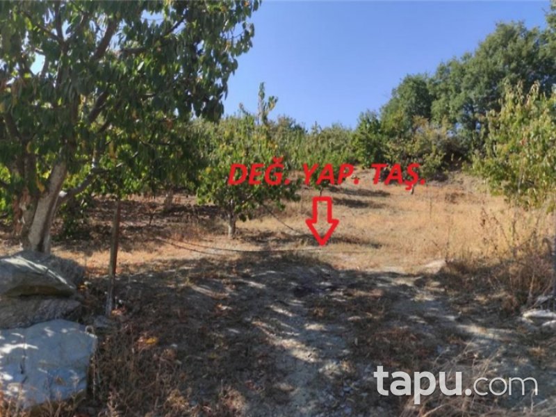 Tokat Merkez Kemalpaşa Mahallesi'nde 4373 m2 Tarla