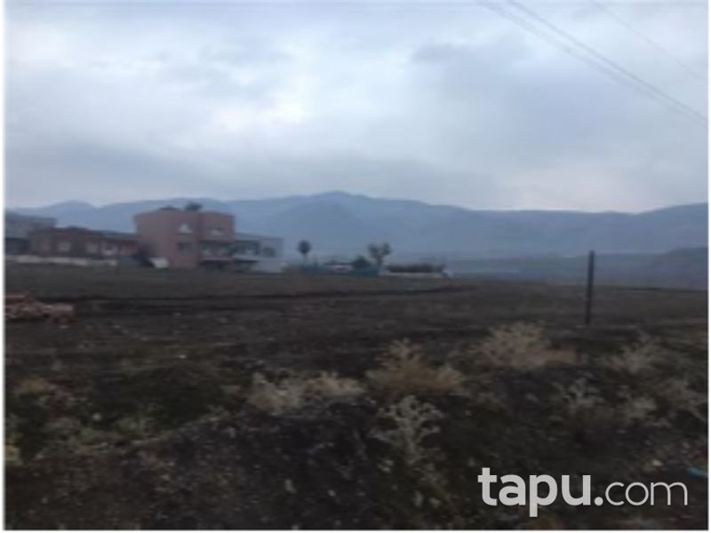 Siirt Kurtalan Beykent Mahallesi'nde 1000m2 Konut İmarlı Arsa