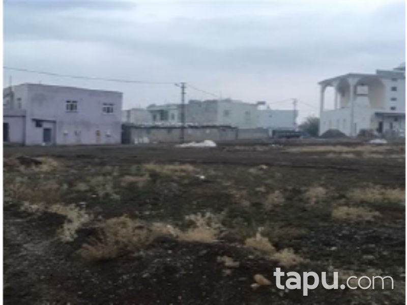 Siirt Kurtalan Beykent Mahallesi'nde 1000m2 Konut İmarlı Arsa