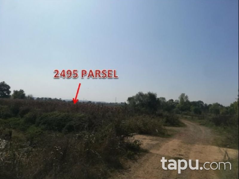 Sakarya Adapazarı Karadere Mahallesinde 2910m2 Tarla