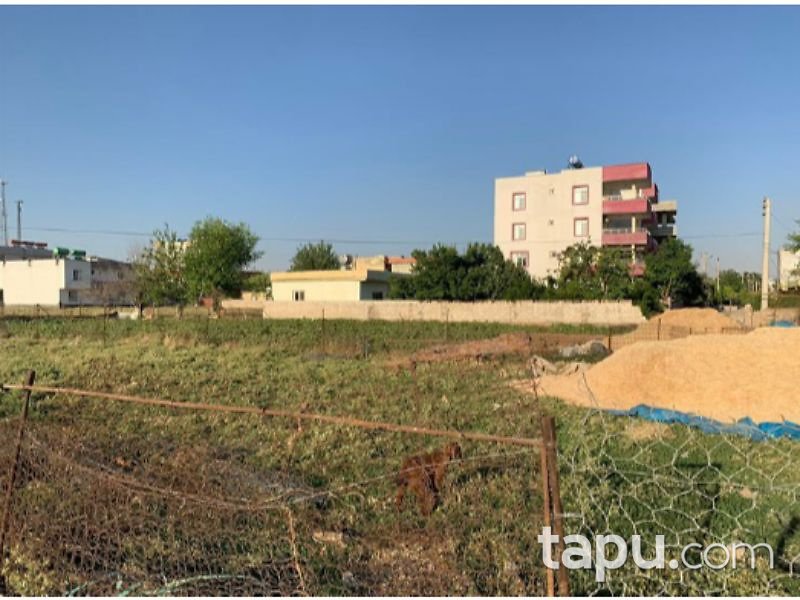 Şanlıurfa Suruç Aligör Mahallesi'nde 212 m2 Konut İmarlı Arsa
