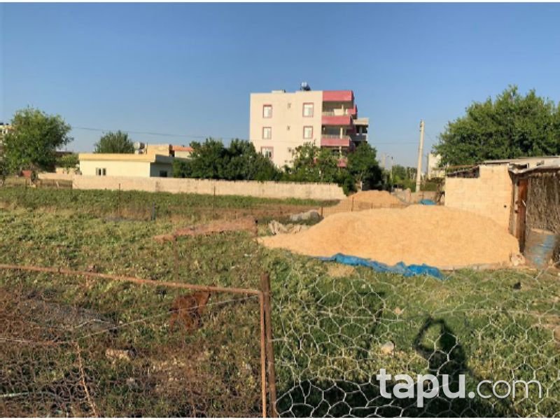 Şanlıurfa Suruç Aligör Mahallesi'nde 295 m2 Konut İmarlı Arsa