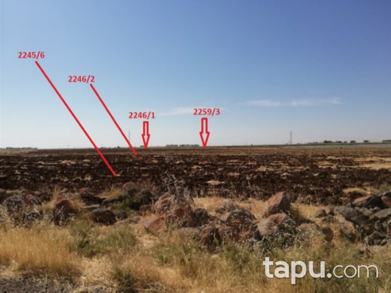Şanlıurfa Viranşehir Yarpuz Mahallesi'nde 1025 m2 İmarlı Arsa