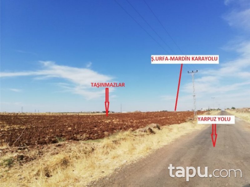 Şanlıurfa Viranşehir Yarpuz Mahallesi'nde 1115 m2 İmarlı Arsa