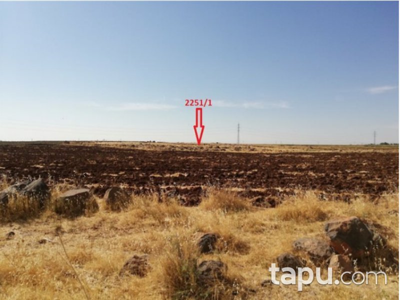 Şanlıurfa Viranşehir Yarpuz Mahallesi'nde 1115 m2 İmarlı Arsa