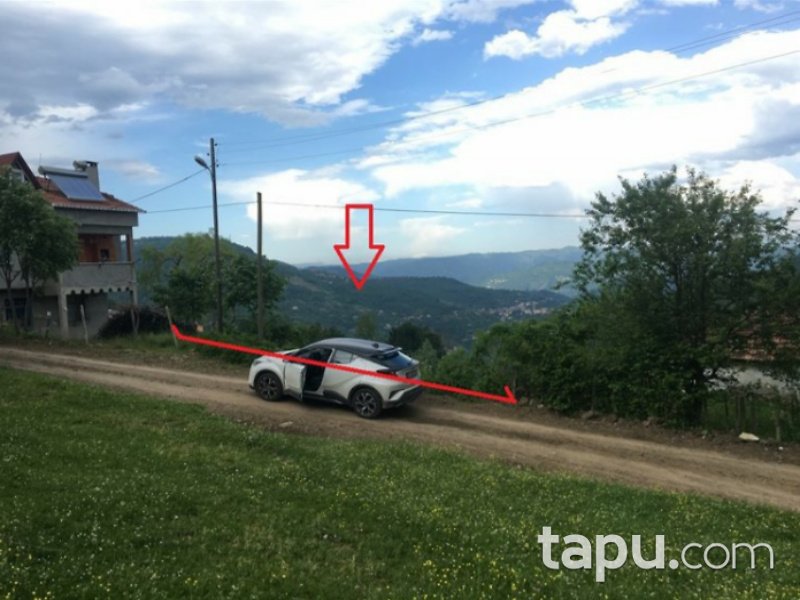 Ordu Kabataş Kayıncık Mahallesi'nde 1424 Fındık Bahçesi