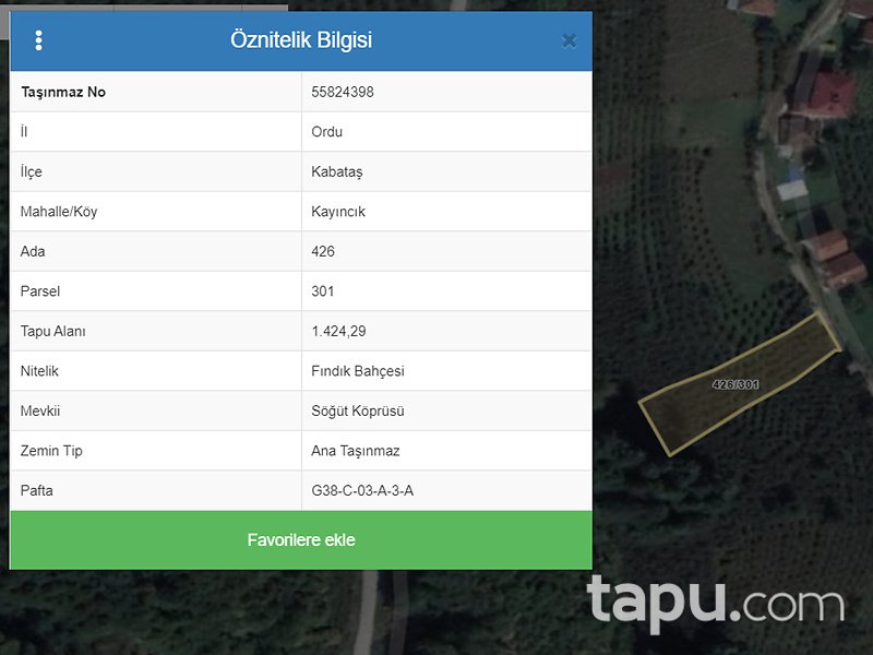 Ordu Kabataş Kayıncık Mahallesi'nde 1424 Fındık Bahçesi
