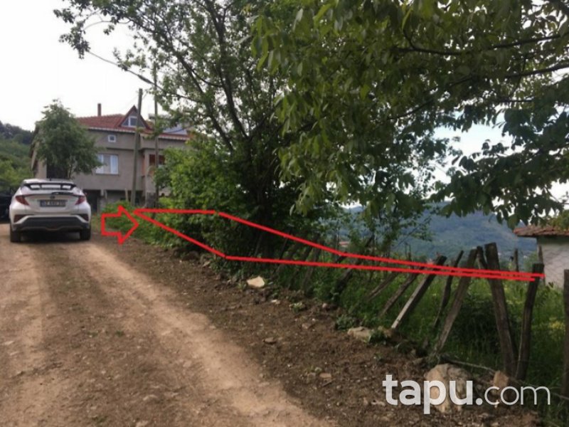 Ordu Kabataş Kayıncık Mahallesi'nde 1319 Tarla