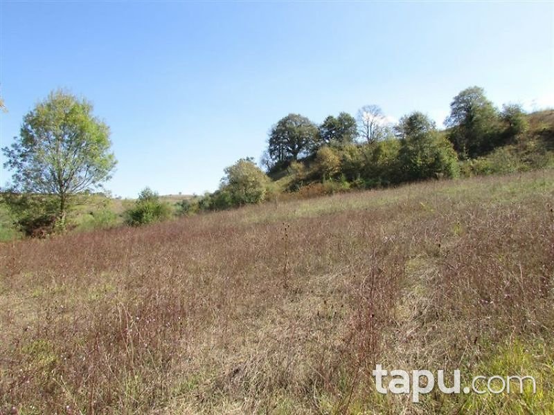 Kocaeli Kandıra Ahmethacılar Mahallesi'nde 5 Dönüm Tarla