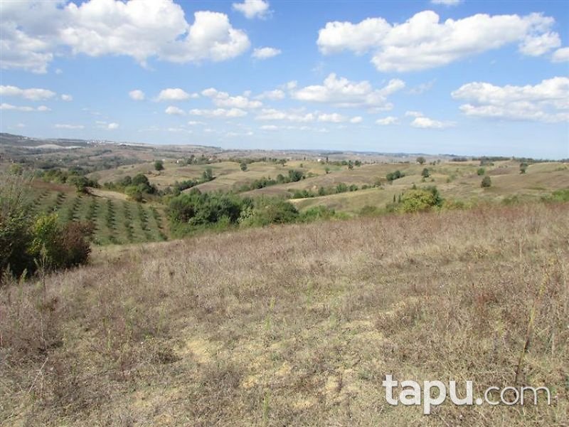 Kocaeli Kandıra Ahmethacılar Mahallesi'nde 5 Dönüm Tarla