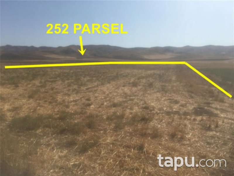 Çorum Sungurlu Karaçay Mahallesi'nde 15600 m2 Tarla